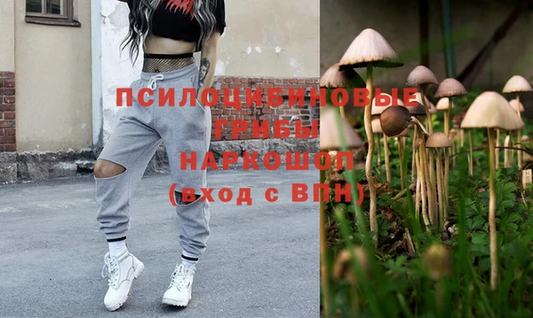 винт Горно-Алтайск