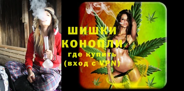 винт Горно-Алтайск