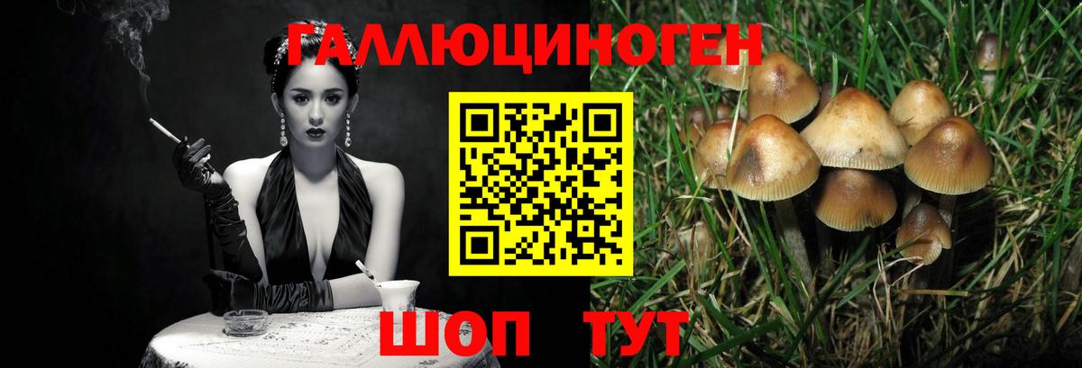 Галлюциногенные грибы прущие грибы Дивногорск