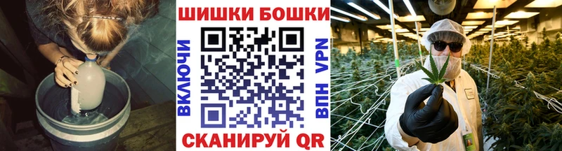 Марихуана конопля  где найти   OMG зеркало  Дивногорск 