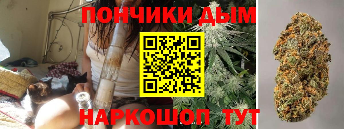 Канабис SATIVA & INDICA Дивногорск