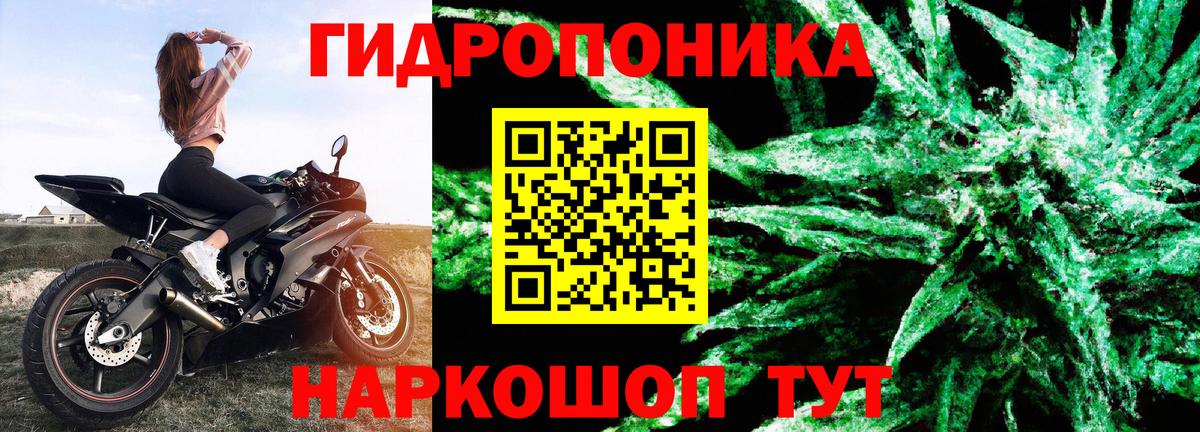 Дивногорск  Бошки марихуана марихуана  Вход с VPN  Марихуана индика  Конопля индика  Каннабис планчик 